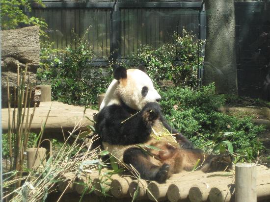 トリップアドバイザー提供