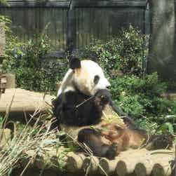 トリップアドバイザー提供