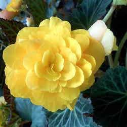 トリップアドバイザー提供