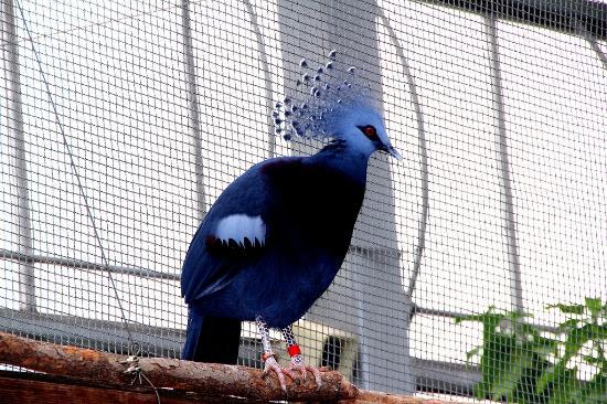 トリップアドバイザー提供