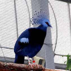 トリップアドバイザー提供