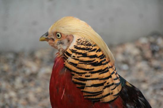 トリップアドバイザー提供