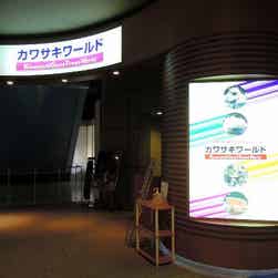 トリップアドバイザー提供