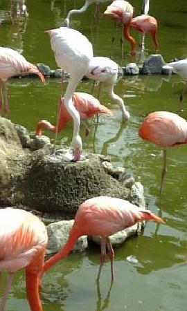 トリップアドバイザー提供