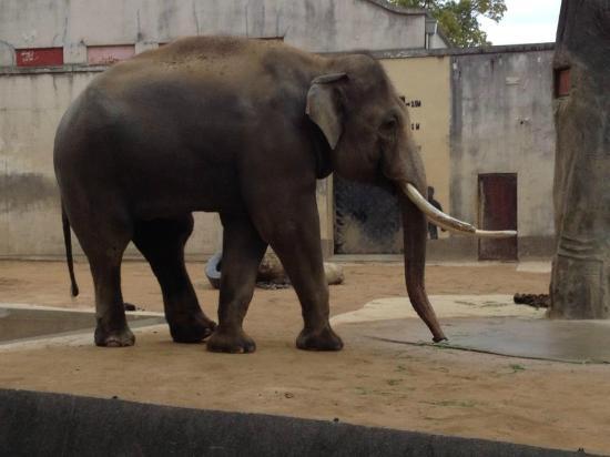 トリップアドバイザー提供