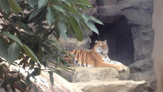 トリップアドバイザー提供