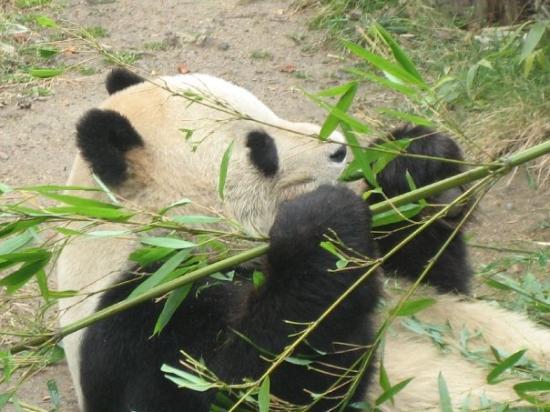 トリップアドバイザー提供