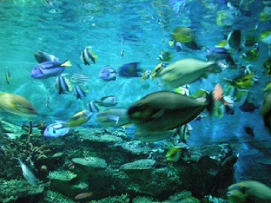 トリップアドバイザー提供