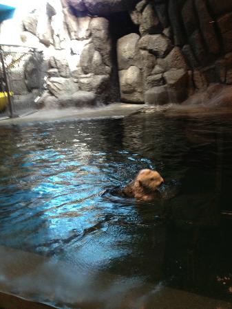 トリップアドバイザー提供