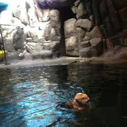 トリップアドバイザー提供