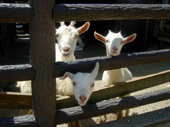 トリップアドバイザー提供