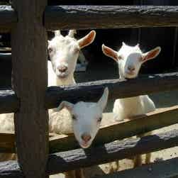 トリップアドバイザー提供