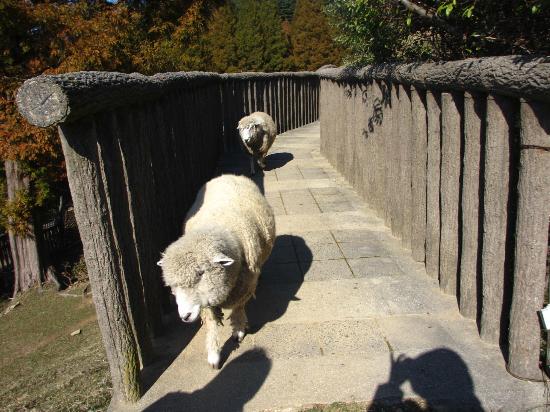トリップアドバイザー提供
