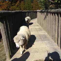 トリップアドバイザー提供