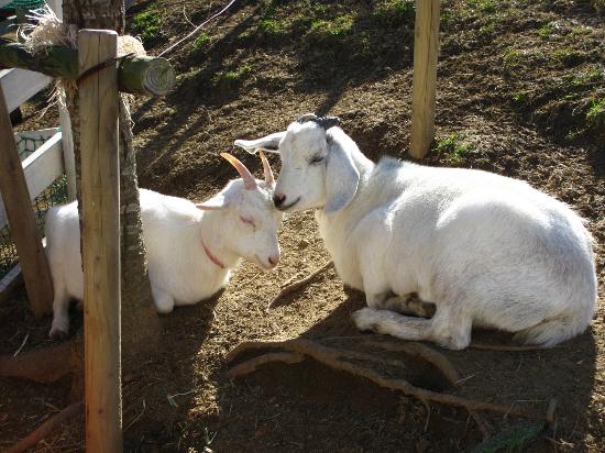 トリップアドバイザー提供
