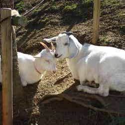 トリップアドバイザー提供