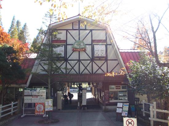 トリップアドバイザー提供