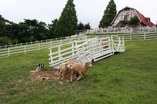 トリップアドバイザー提供