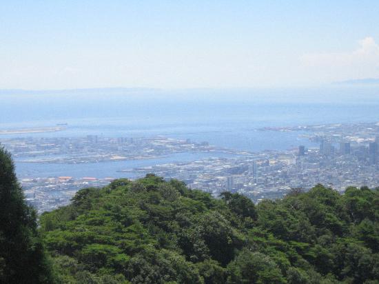 トリップアドバイザー提供