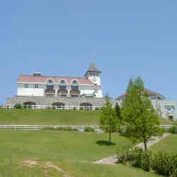 トリップアドバイザー提供