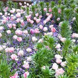 トリップアドバイザー提供