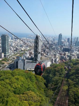 トリップアドバイザー提供