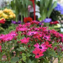 トリップアドバイザー提供