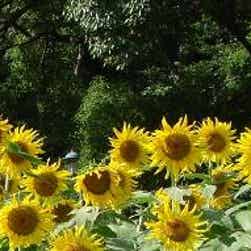 トリップアドバイザー提供