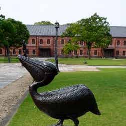 トリップアドバイザー提供