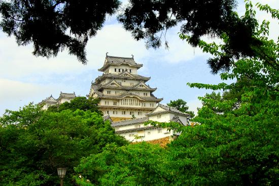 トリップアドバイザー提供