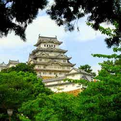 トリップアドバイザー提供