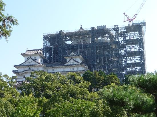 トリップアドバイザー提供