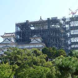 トリップアドバイザー提供