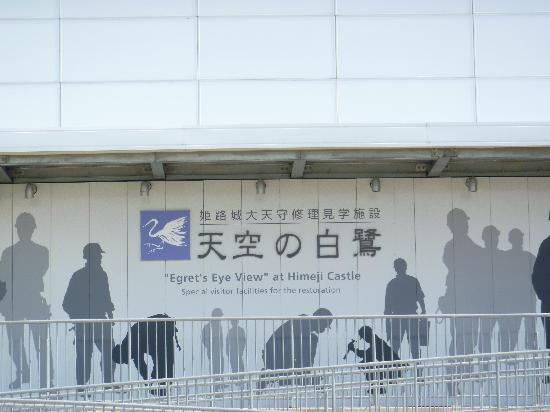 トリップアドバイザー提供