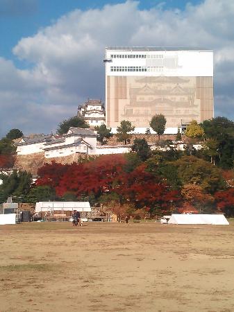 トリップアドバイザー提供