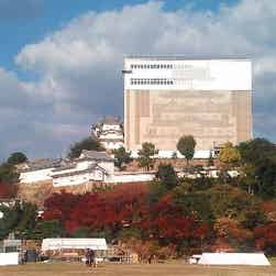 トリップアドバイザー提供