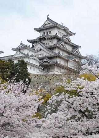 トリップアドバイザー提供