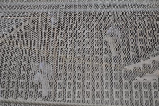 トリップアドバイザー提供