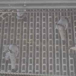 トリップアドバイザー提供