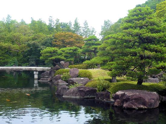 トリップアドバイザー提供