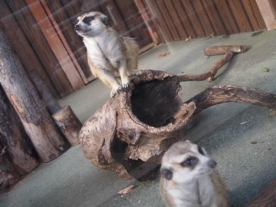 トリップアドバイザー提供