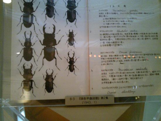 トリップアドバイザー提供