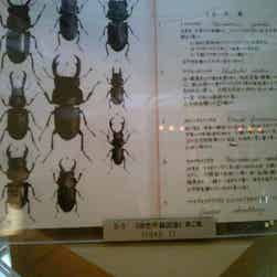 トリップアドバイザー提供