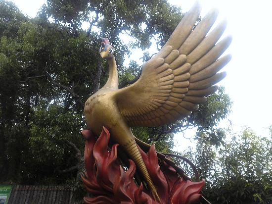 トリップアドバイザー提供