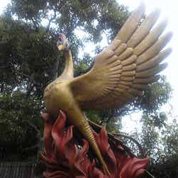 トリップアドバイザー提供