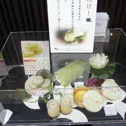 トリップアドバイザー提供