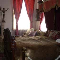 トリップアドバイザー提供