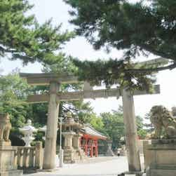 トリップアドバイザー提供