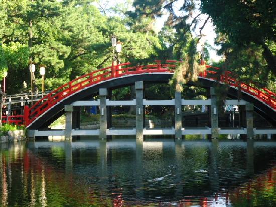 トリップアドバイザー提供