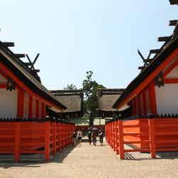 トリップアドバイザー提供